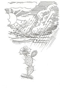 calling-horse-law-1-one-god