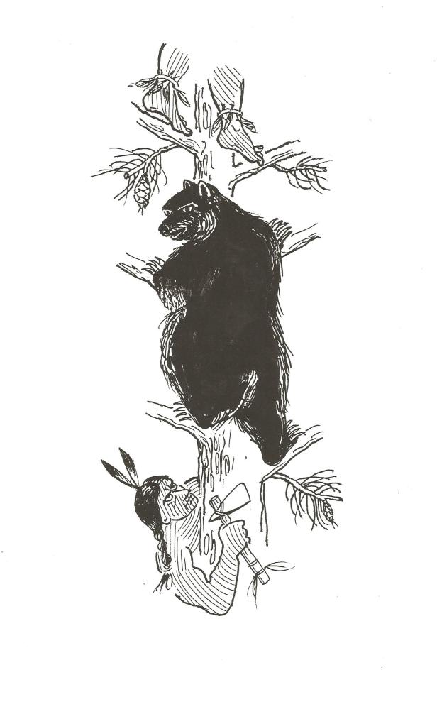 The bear looked down and saw White Owl