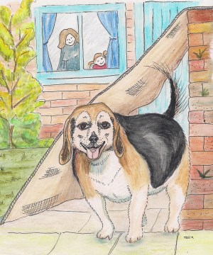 Betsy Old dog. lesson 1.11