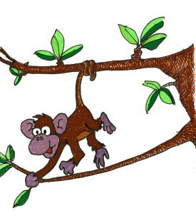 monkey-playing001